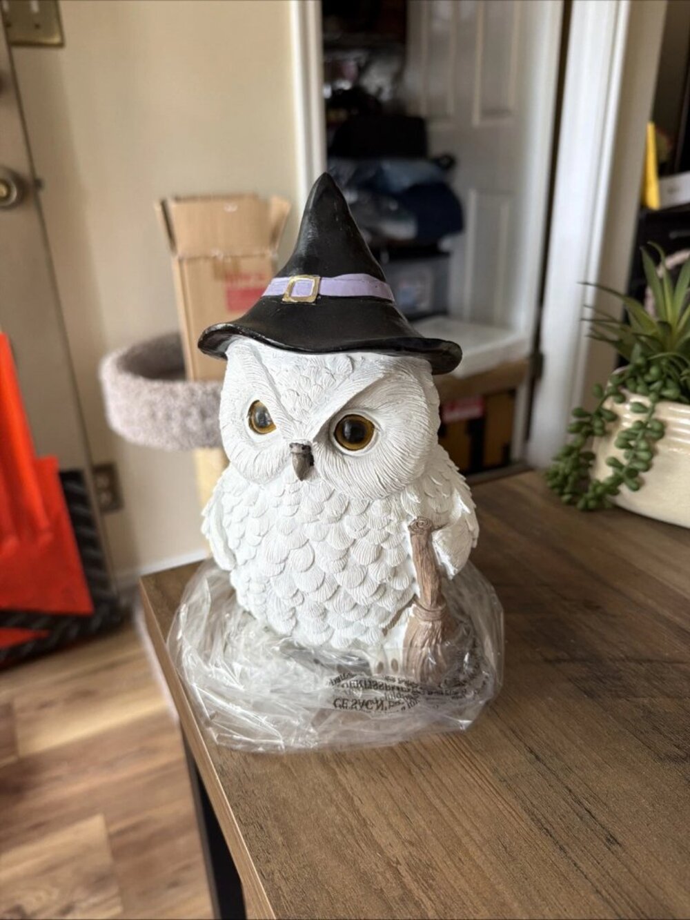 TOIL AND TROUBLE 9in Resin Witch Owl Statue - NIB